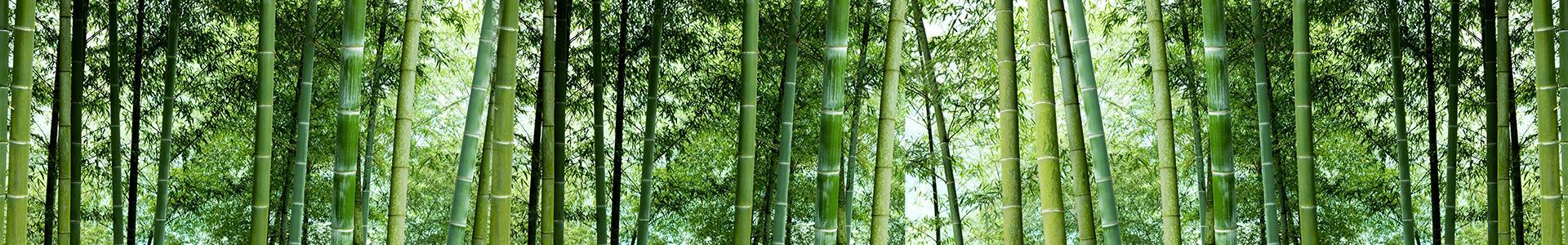 公司動態(tài)
